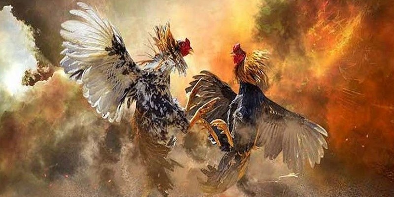 Các chiến thuật chơi Đá gà cựa dao Ga128 hiệu quả