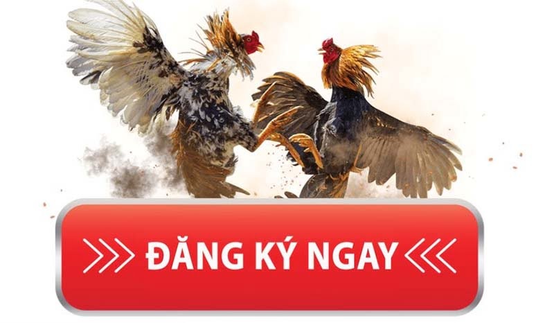 Đăng ký Ga128: Hướng dẫn chi tiết và lợi ích
